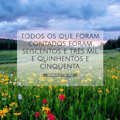Picture 07 - Números 1:46 BSL - todos os que foram contados foram seiscentos e - Bible Verse Picture