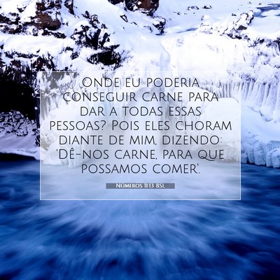 Picture 07 - Números 11:13 BSL - Onde eu poderia conseguir carne para dar a todas - Bible Verse Picture