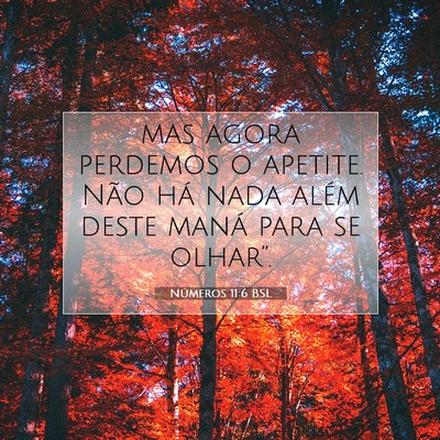 Picture 07 - Números 11:6 BSL - mas agora perdemos o apetite. Não há nada além - Bible Verse Picture