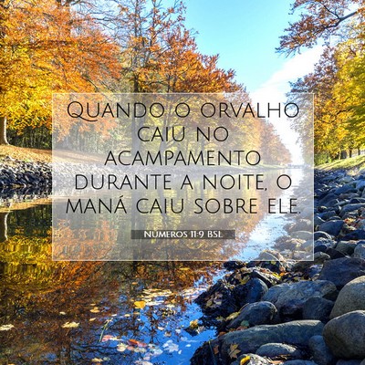 Picture 07 - Números 11:9 BSL - Quando o orvalho caiu no acampamento durante a - Bible Verse Picture