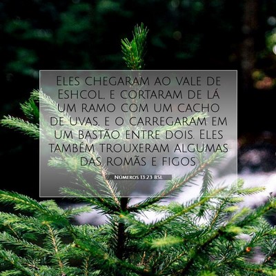 Picture 07 - Números 13:23 BSL - Eles chegaram ao vale de Eshcol, e cortaram de - Bible Verse Picture