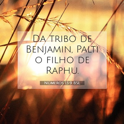 Picture 07 - Números 13:9 BSL - Da tribo de Benjamin, Palti o filho de - Bible Verse Picture
