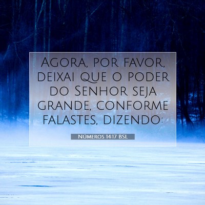 Picture 07 - Números 14:17 BSL - Agora, por favor, deixai que o poder do Senhor - Bible Verse Picture