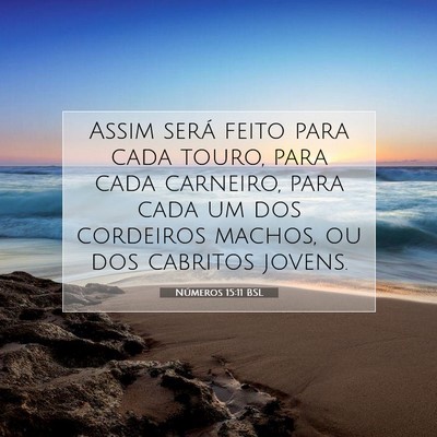 Picture 07 - Números 15:11 BSL - Assim será feito para cada touro, para cada - Bible Verse Picture