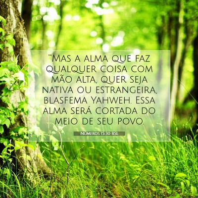 Picture 07 - Números 15:30 BSL - “'Mas a alma que faz qualquer coisa com mão - Bible Verse Picture