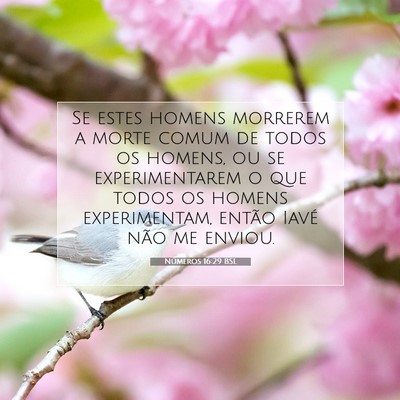 Picture 07 - Números 16:29 BSL - Se estes homens morrerem a morte comum de todos - Bible Verse Picture