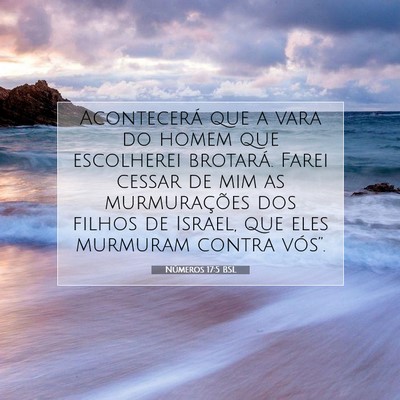 Picture 07 - Números 17:5 BSL - Acontecerá que a vara do homem que escolherei - Bible Verse Picture