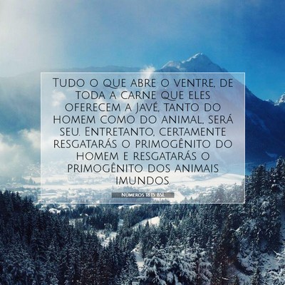 Picture 07 - Números 18:15 BSL - Tudo o que abre o ventre, de toda a carne que - Bible Verse Picture