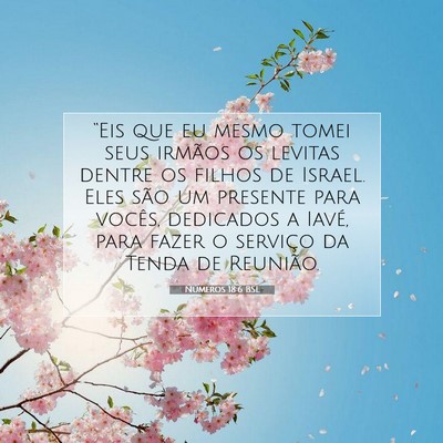 Picture 07 - Números 18:6 BSL - “Eis que eu mesmo tomei seus irmãos os levitas - Bible Verse Picture
