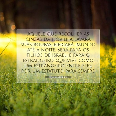 Picture 07 - Números 19:10 BSL - Aquele que recolher as cinzas da novilha lavará - Bible Verse Picture