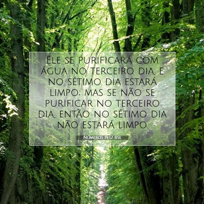 Picture 07 - Números 19:12 BSL - Ele se purificará com água no terceiro dia, e - Bible Verse Picture