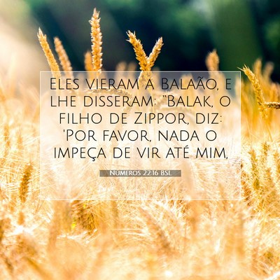 Picture 07 - Números 22:16 BSL - Eles vieram a Balaão, e lhe disseram: “Balak, - Bible Verse Picture