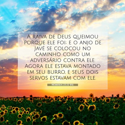 Picture 07 - Números 22:22 BSL - A raiva de Deus queimou porque ele foi; e o anjo - Bible Verse Picture