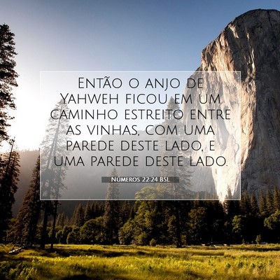 Picture 07 - Números 22:24 BSL - Então o anjo de Yahweh ficou em um caminho - Bible Verse Picture