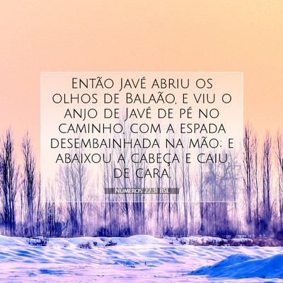 Picture 07 - Números 22:31 BSL - Então Javé abriu os olhos de Balaão, e viu o - Bible Verse Picture