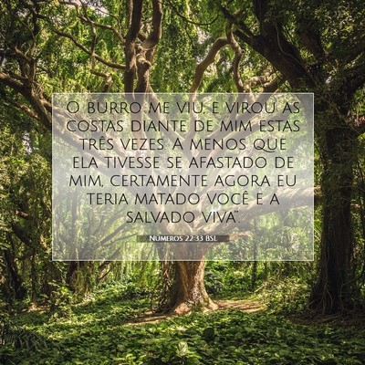 Picture 07 - Números 22:33 BSL - O burro me viu, e virou as costas diante de mim - Bible Verse Picture