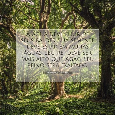 Picture 07 - Números 24:7 BSL - A água deve fluir de seus baldes. Sua semente - Bible Verse Picture