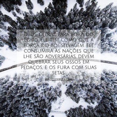 Picture 07 - Números 24:8 BSL - Deus o traz para fora do Egito. Ele tem como que - Bible Verse Picture