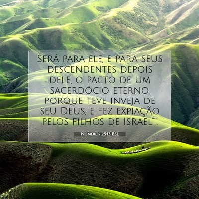 Picture 07 - Números 25:13 BSL - Será para ele, e para seus descendentes depois - Bible Verse Picture