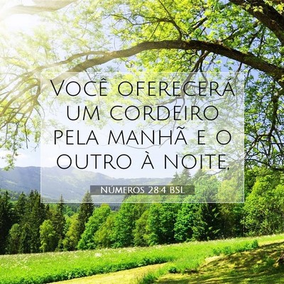 Picture 07 - Números 28:4 BSL - Você oferecerá um cordeiro pela manhã e o - Bible Verse Picture
