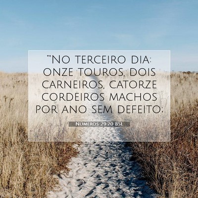 Picture 07 - Números 29:20 BSL - “'No terceiro dia: onze touros, dois carneiros, - Bible Verse Picture