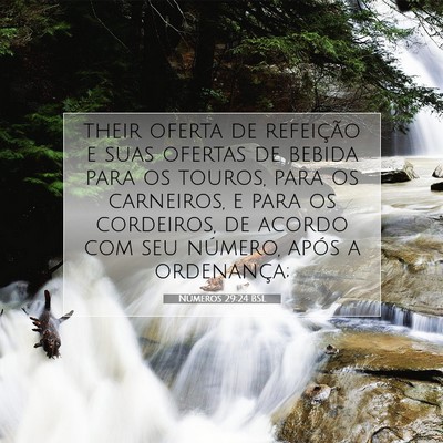Picture 07 - Números 29:24 BSL - their oferta de refeição e suas ofertas de - Bible Verse Picture