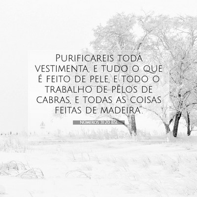 Picture 07 - Números 31:20 BSL - Purificareis toda vestimenta, e tudo o que é - Bible Verse Picture