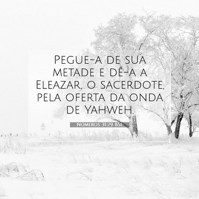 Picture 07 - Números 31:29 BSL - Pegue-a de sua metade e dê-a a Eleazar, o - Bible Verse Picture
