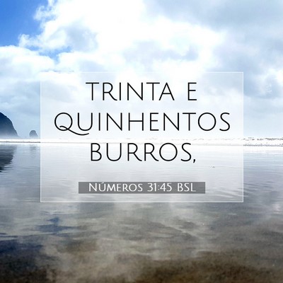 Picture 07 - Números 31:45 BSL - trinta e quinhentos - Bible Verse Picture