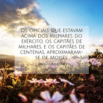 Picture 07 - Números 31:48 BSL - Os oficiais que estavam acima dos milhares do - Bible Verse Picture