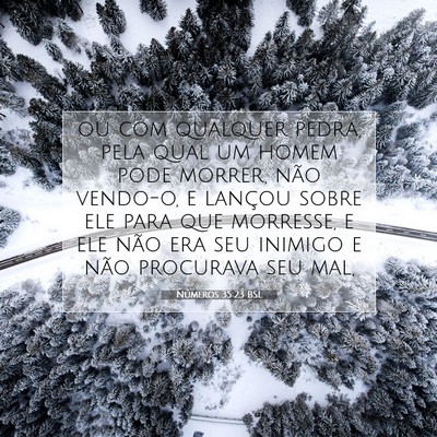 Picture 07 - Números 35:23 BSL - ou com qualquer pedra, pela qual um homem pode - Bible Verse Picture