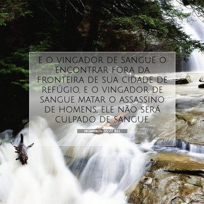 Picture 07 - Números 35:27 BSL - e o vingador de sangue o encontrar fora da - Bible Verse Picture