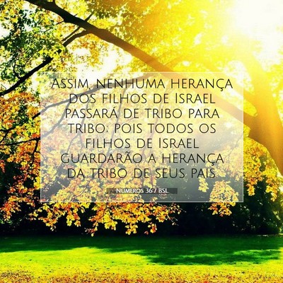 Picture 07 - Números 36:7 BSL - Assim, nenhuma herança dos filhos de Israel - Bible Verse Picture