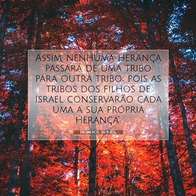 Picture 07 - Números 36:9 BSL - Assim, nenhuma herança passará de uma tribo - Bible Verse Picture