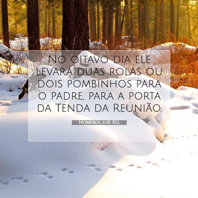 Picture 07 - Números 6:10 BSL - No oitavo dia ele levará duas rolas ou dois - Bible Verse Picture