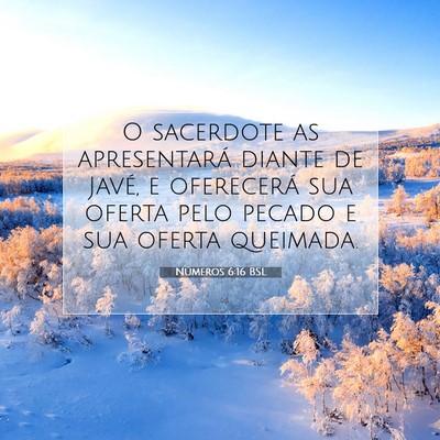 Picture 07 - Números 6:16 BSL - O sacerdote as apresentará diante de Javé, e - Bible Verse Picture