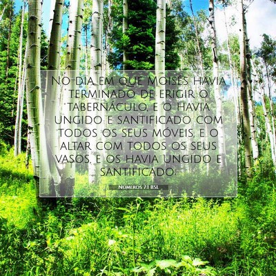 Picture 07 - Números 7:1 BSL - No dia em que Moisés havia terminado de erigir o - Bible Verse Picture