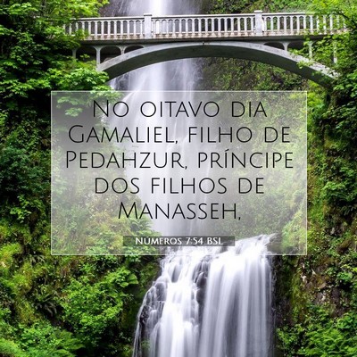 Picture 07 - Números 7:54 BSL - No oitavo dia Gamaliel, filho de Pedahzur, - Bible Verse Picture