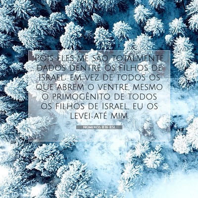 Picture 07 - Números 8:16 BSL - Pois eles me são totalmente dados dentre os - Bible Verse Picture