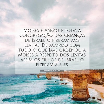Picture 07 - Números 8:20 BSL - Moisés e Aarão, e toda a congregação das - Bible Verse Picture