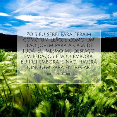 Picture 07 - Oséias 5:14 BSL - Pois eu serei para Efraim como um leão, e como - Bible Verse Picture