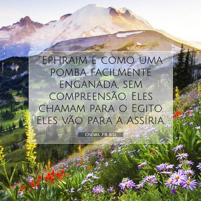 Picture 07 - Oséias 7:11 BSL - “Ephraim é como uma pomba facilmente enganada, - Bible Verse Picture