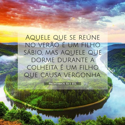 Picture 07 - Provérbios 10:5 BSL - Aquele que se reúne no verão é um filho - Bible Verse Picture