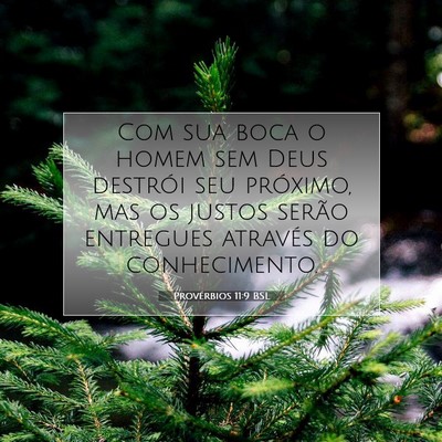Picture 07 - Provérbios 11:9 BSL - Com sua boca o homem sem Deus destrói seu - Bible Verse Picture