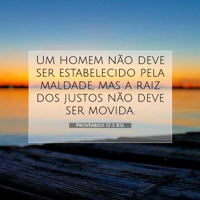 Picture 07 - Provérbios 12:3 BSL - Um homem não deve ser estabelecido pela maldade, - Bible Verse Picture
