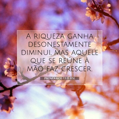 Picture 07 - Provérbios 13:11 BSL - A riqueza ganha desonestamente diminui, mas - Bible Verse Picture