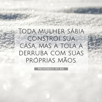 Picture 07 - Provérbios 14:1 BSL - Toda mulher sábia constrói sua casa, mas a tola - Bible Verse Picture