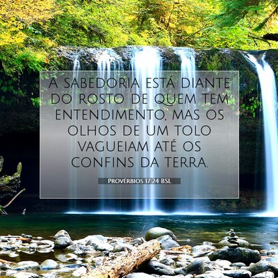 Picture 07 - Provérbios 17:24 BSL - A sabedoria está diante do rosto de quem tem - Bible Verse Picture