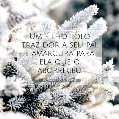 Picture 07 - Provérbios 17:25 BSL - Um filho tolo traz dor a seu pai, e amargura para - Bible Verse Picture