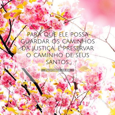 Picture 07 - Provérbios 2:8 BSL - para que ele possa guardar os caminhos da - Bible Verse Picture